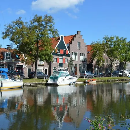 Old Haven Edam